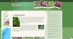 Desktop Screenshot of belladonnakillz.com